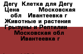 Дегу. Клетка для Дегу › Цена ­ 500 - Московская обл., Ивантеевка г. Животные и растения » Грызуны и Рептилии   . Московская обл.,Ивантеевка г.